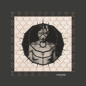 ENIGMA – A Posteriori