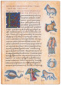 Блокнот Paperblanks Астрономіка De Sideribus Tractatus Flexi середній 13 х 18 см в лінію