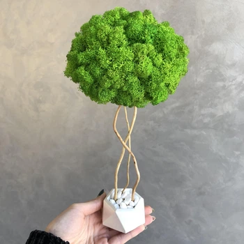 Дерево со стабилизированым мхом MiNature Moss 30 см