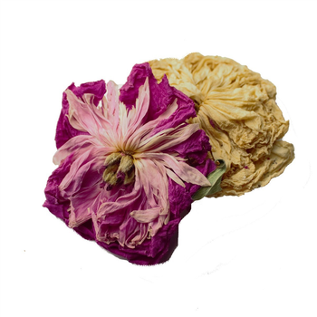 Пион (цветы) 0,5 кг