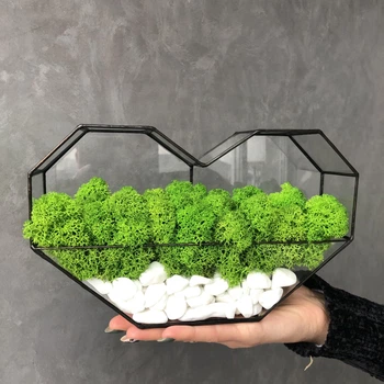 Моссариум сердце со стабилизированым мхом MiNature Moss