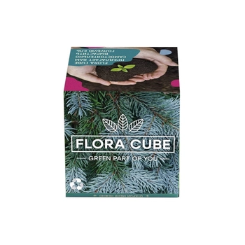 Подарочный набор для выращивания растений экокуб FLORA CUBE "Голубая Ель"