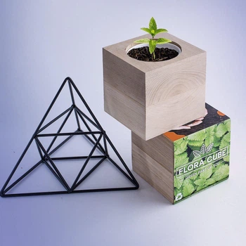 Экокуб Flora Cube Мелисса