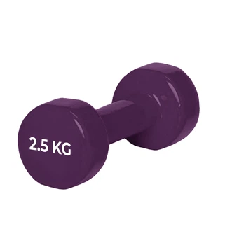 Гантель PowerPlay 4125 виниловая 25 кг Фиолетовая