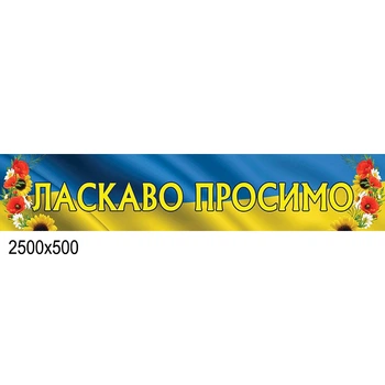 Баннер добро пожаловать в патриотических тонах