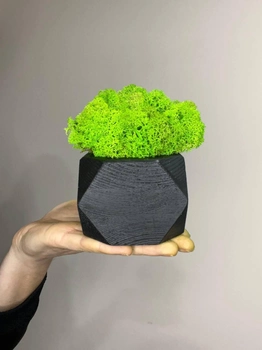 Куб деревянный чёрный со стабилизированным мхом салатовый 8*6 см