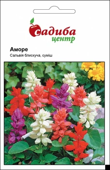 Сальвия Аморе, смесь, 20 шт Садиба Центр