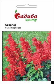 Сальвия Скарлет, 0,1 г Садиба Центр