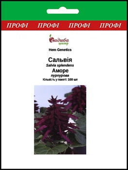 Сальвия Аморе, пурпурная, 100 шт Садиба Центр