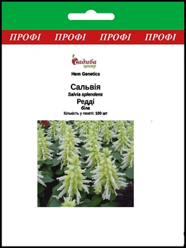 Сальвия Редди, белая, 100 шт Садиба Центр