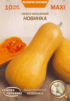Насіння Гарбуз Новинка, мускатна, 10 г (Насіння України)