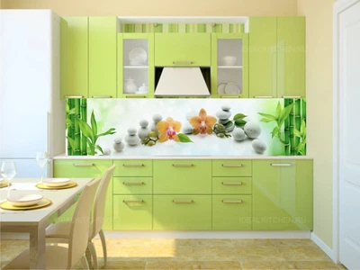 Кухонный фартук Скинали Орхидеи камни 60х250 см (084)
