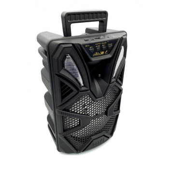 Портативная Bluetooth колонка NB Series NB-9 8'' 1200W Black