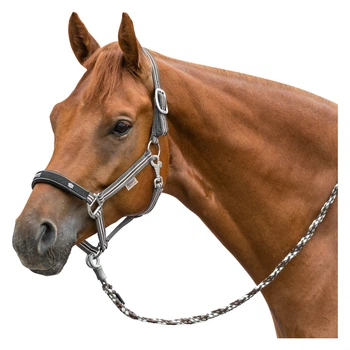 Недоуздок Loesdau "Fashion EQ Globe" Серый Cob