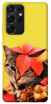 TPU чохол Demsky Осінній котик для Samsung Galaxy S21 Ultra