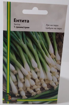 Семена лука на перо Энтита Империя Семян Украина 1 г