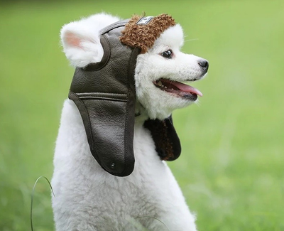 Шапка для собак капор OSSO-fashion купить в интернет-магазине Wildberries