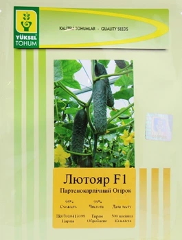 Лютояр F1 Огірок Самозапильний Насіння Yuksel Seeds 500 шт