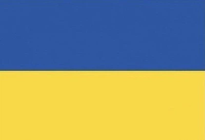Прапор України 21*14 см із габардину для патріотів країни з паличкою