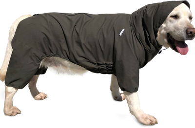 Одежда и аксессуары для собак