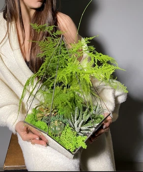 Флорариум из суккулентов h 45 cm