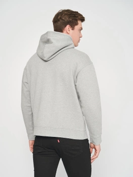 Худи Levi's T2 Relaxed Graphic Po 38479-0080 Poster Hoodie Mhg