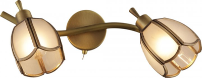 Светильник спотовый Altalusse INL-9317W-02 Golden Brass Е14 2x40 Вт