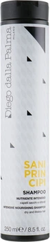 Антиоксидантный восстанавливающий шампунь - Diego Dalla Palma Care Collection 250ml (661771-76734)