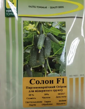 Солон F1 семян огурцов Yuksel Seeds 1000 шт