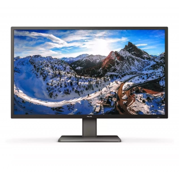 Монитор PHILIPS 439P1/00 (439P1/00)