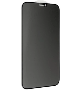 Защитное стекло Iphone 11 Pro Max / Iphone XS Max Privacy 180 5D Black
