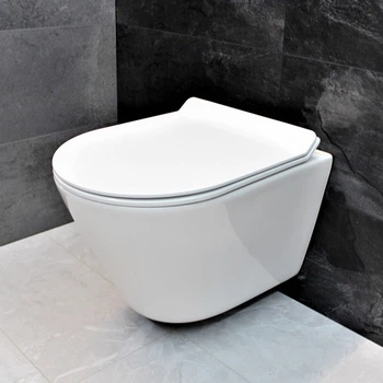 Унитаз DUSEL TERI подвесной DWHT10202330R с сиденьем Slim Soft-Close