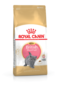 Royal Canin Kitten British Shorthair (Роял Канин Бритиш Шортхеа) сухой корм для котят британской кошки, 2кг