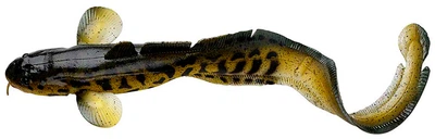 Силікон Savage Gear 3D Burbot FS 250mm 75.0g 01-Burbot (поштучно) (152685) 1854.03.77