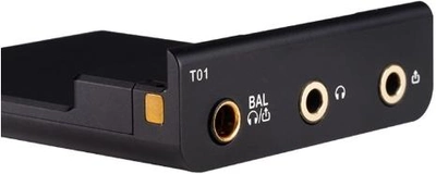 Усилитель Cayin Replaceable Audio Motherboard T01