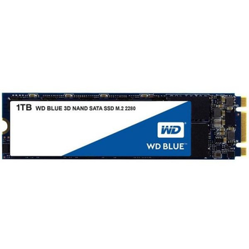 Western Digital SSD Blue M.2 1 TB (S100T2B0B)