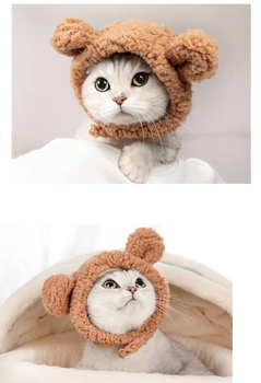 Кошка в шапке - 68 фото