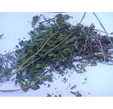 М`ята перцева трава сушена (упаковка 5 кг)