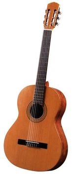 Классическая гитара Antonio Sanchez S-20 Cedar