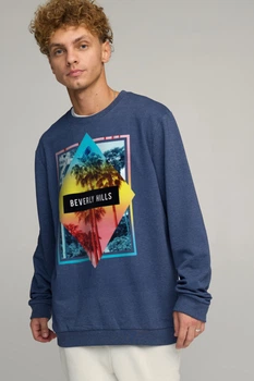 Світшот чоловічий OVERSIZE /no flis/ XL Блакитний (BSMN30013)