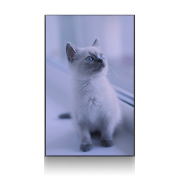 Внешний Жесткий диск Blueendless U25 500Gb USB 3.0 Котенок