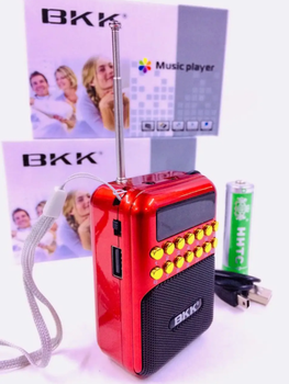 Радиоприёмник аккумуляторный BKK B872 принимает флешки USB и TF (съемный аккумулятор 18650)
