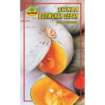Семена тыквы Волжская серая 2 г (Насіння країни)