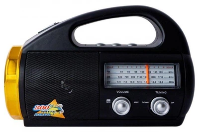 Портативна колонка Golon RX-710 із ліхтариком FM приймачем