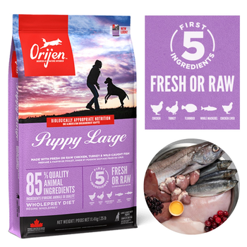 Сухий корм Orijen Puppy Large 11.4 кг для цуценят великих порід