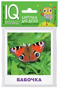 Розумний малюк. Комахи. Набір карток для дітей. Російськомовні підписи.