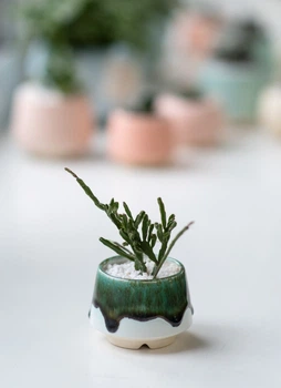 Керамический горшок для растений Mini Plant размер XS 4,9х5,2см Трапеция Белый Изумруд