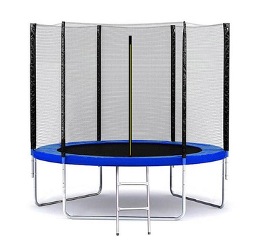 Батут SkyJump 312 см із захисною сіткою і драбинкою (SJ10ft312)