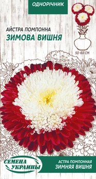 Насіння Астра Зимова вишня, помпонна, 0,25 г (Насіння України)