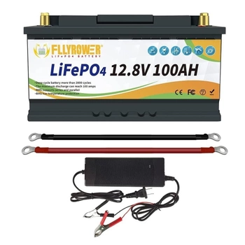 Аккумулятор FLLYROWER 12V 100 Ач LifePo4 с зарядным устройством